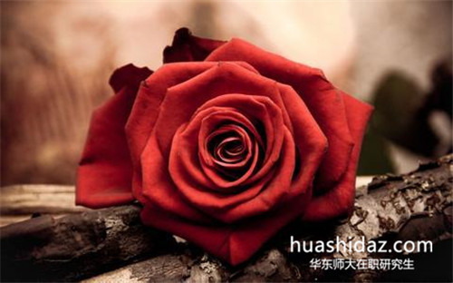 華東師范大學(xué)在職研究生